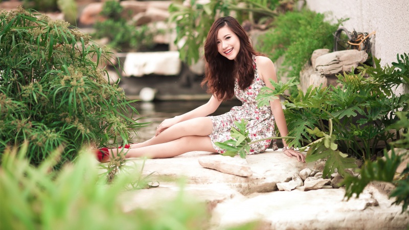 原神魈怎么配队 魈配队阵容推荐